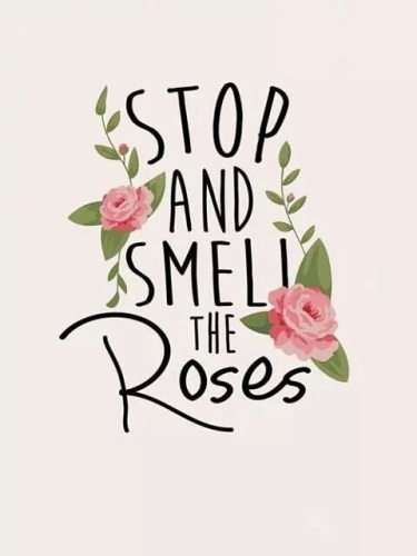 stop and smell the roses- maggio-izia-rose-sisley-paris