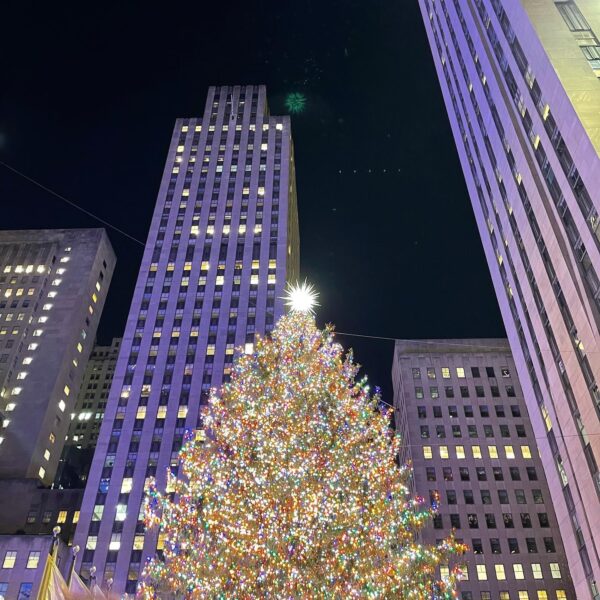 New-york-cosa-fare-natale-periodo-natalizio-guida-at-22.53.47cosa ...